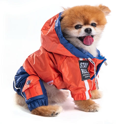 Pawstar Bicolor Turuncu-Lacivert Küçük Irk Köpek Yağmurluğu 4,6-6,5KG [L] - Su geçirmez