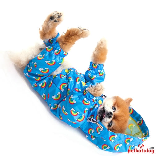 Pawstar Irides کت بارانی سگ نژاد کوچک رنگین کمان 2,6-4,5KG [M] - ضد آب
