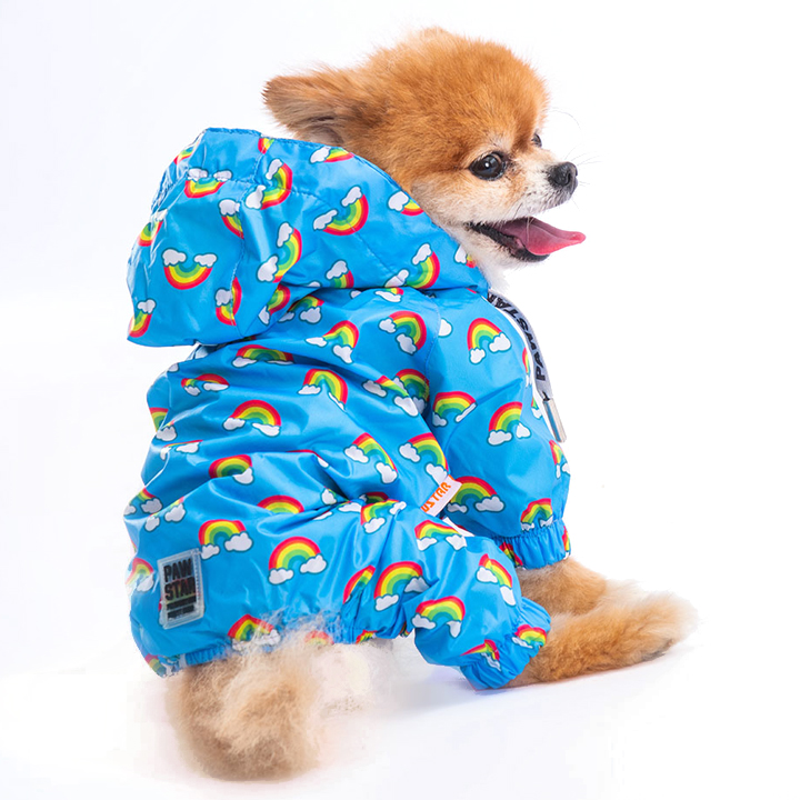Pawstar Irides Gökkuşağı Desenli Küçük Irk Köpek Yağmurluğu 2,6-4,5KG [M] - Su geçirmez