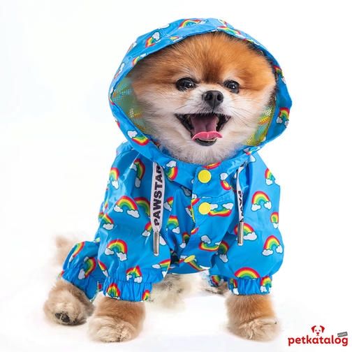 Pawstar Irides Gökkuşağı Desenli Küçük Irk Köpek Yağmurluğu 4,6-6,5KG [L] - Su geçirmez