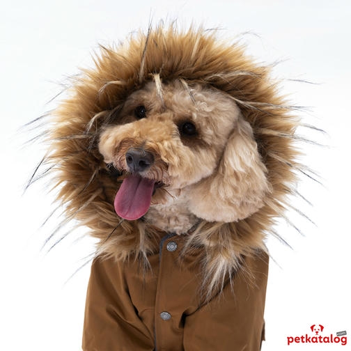 Pawstar Camel Charles Küçük Irk Köpek Montu 2,6-4,5KG [M] - Su geçirmez