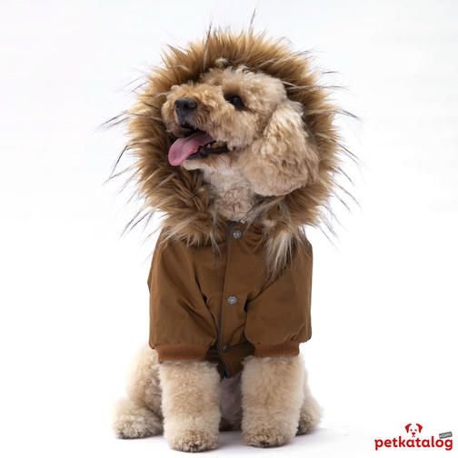 Pawstar Camel Charles Orta Irk Köpek Montu 6,6-9KG [XL] - Su geçirmez