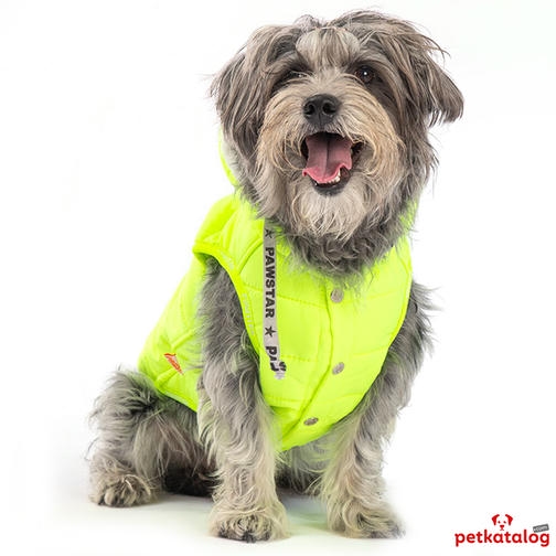 Pawstar Railway Neon Yeşil Orta Irk Köpek Yeleği 9-11KG [2XL] - Su itici özelliktedir