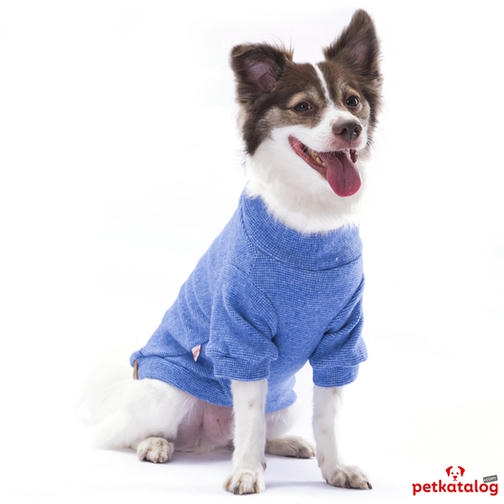 Pawstar Merino Mavi Küçük Irk Köpek Sweat 2,6-4,5KG [M]