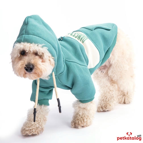 Pawstar Cute Hoodie Yeşil Küçük Irk Köpek Sweat 4,6-6,5KG [L]
