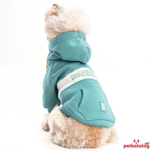 Pawstar Cute Hoodie Yeşil Küçük Irk Köpek Sweat 4,6-6,5KG [L]