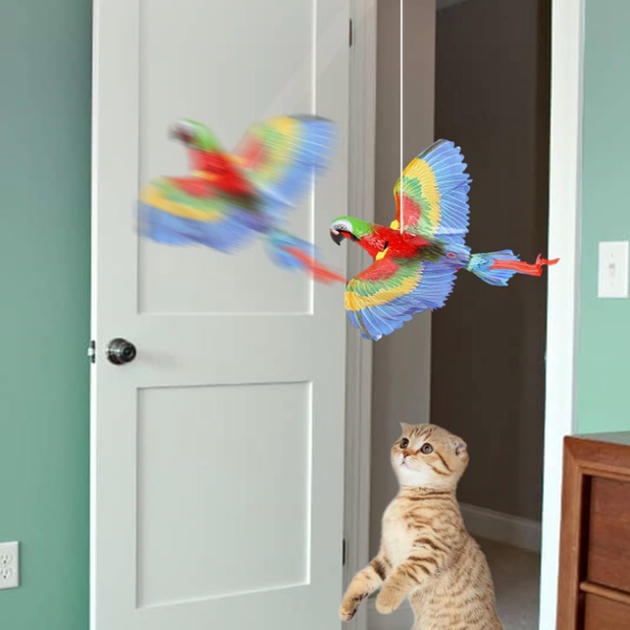 Teng Uçan Papağan Sesli Hareketli İnteraktif Kedi Oyuncağı