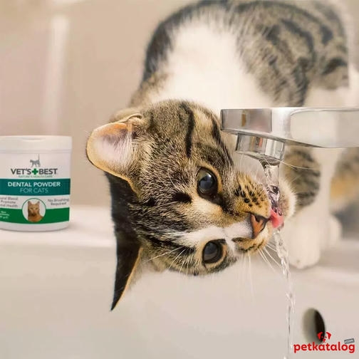 Vet's Best Kediler için Plak ve Tartar Önleyici Ağız Bakım Tozu 45 gr