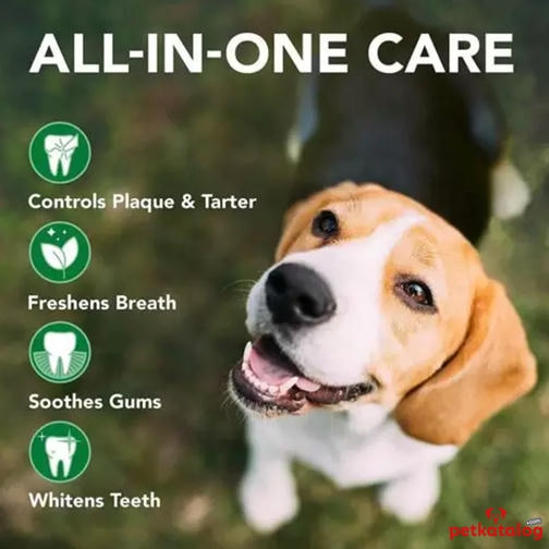 Vet's Best Köpekler için Plak ve Tartar Önleyici Ağız Bakım Tozu 45 gr