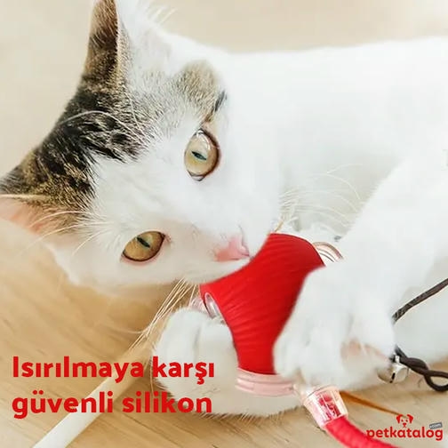 Teng İpli İnteraktif Hareketli Kedi Oyuncağı - Type-C Şarjlı (Kırmızı)