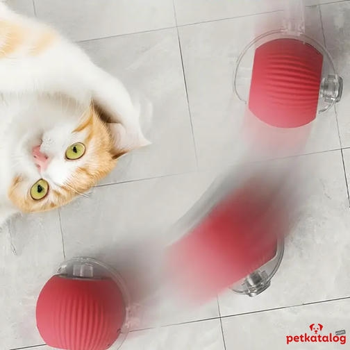 Teng İpli İnteraktif Hareketli Kedi Oyuncağı - Type-C Şarjlı (Kırmızı)