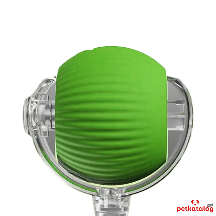 Product Gallery Image