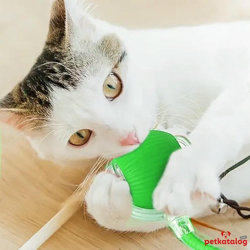 Teng İpli İnteraktif Hareketli Kedi Oyuncağı - Type-C Şarjlı (Yeşil)