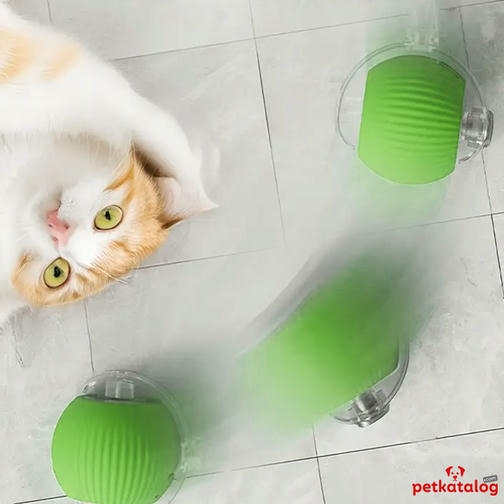 Teng İpli İnteraktif Hareketli Kedi Oyuncağı - Type-C Şarjlı (Yeşil)