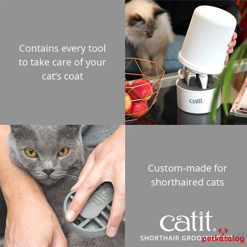CatIt! Shorthair Grooming - Kısa Tüylü Kedilere Özel Tüy Bakım Seti (Tarak, Makas ve Fırça)