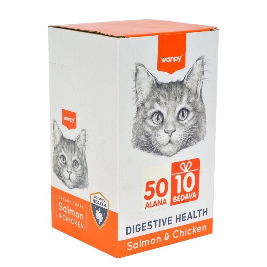 Wanpy Somon Balığı Ve Tavuk Kedi Ödül 60X14 Gr ( Digestive Health ) 60'lı Kutu