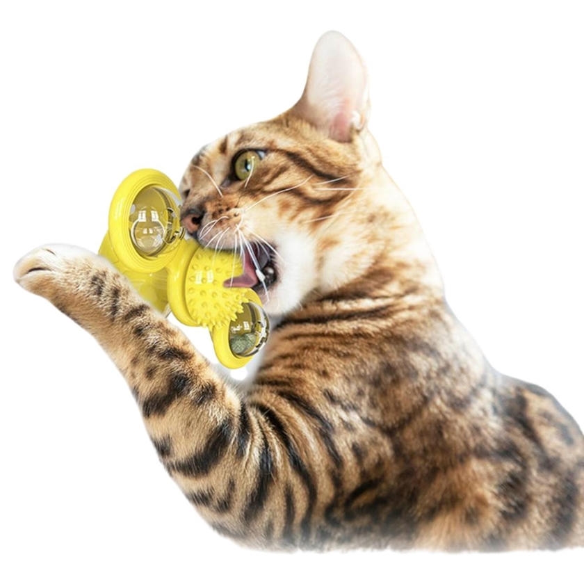 Vantuzlu Fırıldak Toplu Dönen Şeffaf Depo Tasarım İnteraktif Kedi Oyuncağı