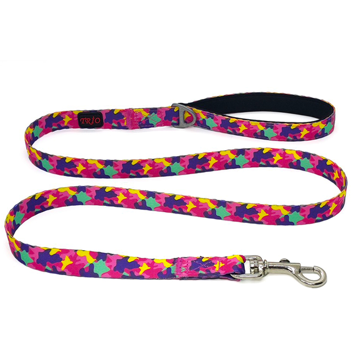 Luckypaw Desenli Kedi-Köpek Gezdirme Kayışı 2-140 cm (Rose)