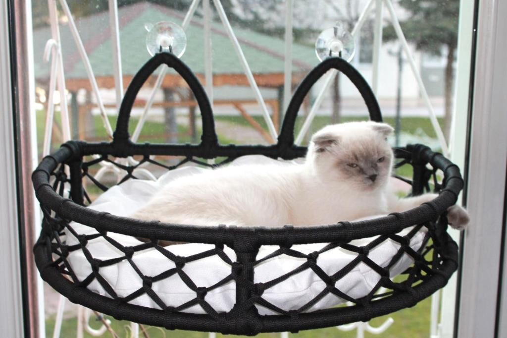 Cama Takılabilen Kedi Yatağı