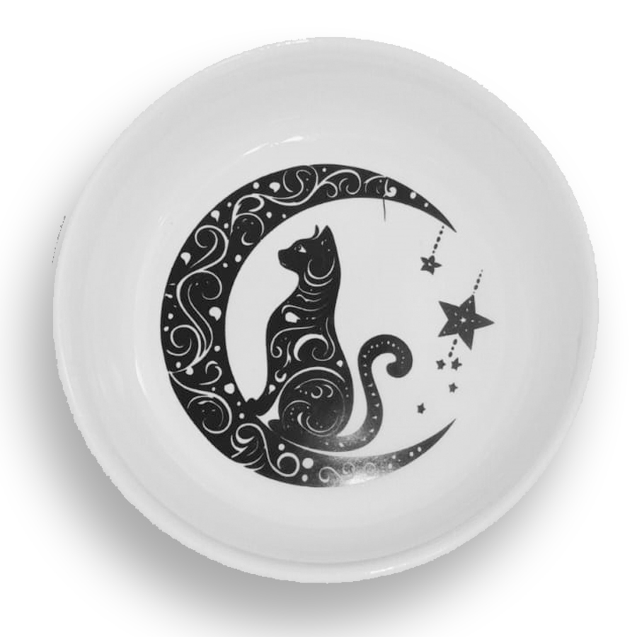 Raccoon Kediler İçin Seramik Mama Kabı MoonStar 250 ml