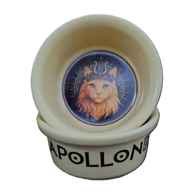 Raccoon Olimpos Apollon Kediler İçin Seramik Mama Kabı 300 ml