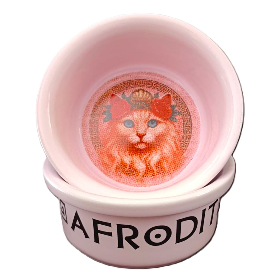 Raccoon Olimpos Afrodit Kediler İçin Seramik Mama Kabı 300 ml