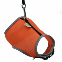 Cattie Havalı Kumaş Kedi Göğüs ve Gezdirme Tasma Takımı 25-30 Cm Turuncu