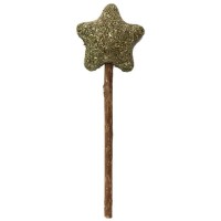 Eastland Matatabi Catnip Kedi Otu Yıldız Lolipop Çubuğu 9.5cm