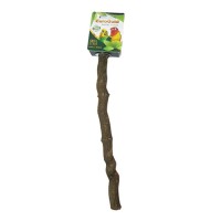 Eurogold Kuşlar İçin Doğal Ağaç Tünek 25-27 cm