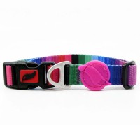 Tailpetz Köpek Boyun Tasması Wave Small 25-40 cm