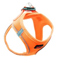 Tailpetz Airmesh Kedi ve Küçük Irk Köpek Göğüs Tasması Turuncu [2XSmall]