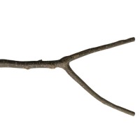 Beaks Doğal Ağaç Dalı Üç Dallı Kuş Tüneği 27 cm