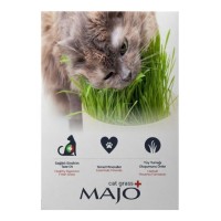 Majo Naturel Kedi Çimi (3 Kullanımlık Yedek Tohumlu)