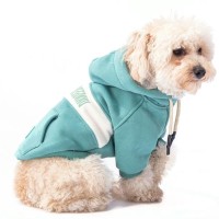 Pawstar Cute Hoodie Yeşil Küçük Irk Köpek Sweat 4,6-6,5KG [L]