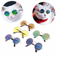 Teng Kedi ve Köpek Güneş Gözlüğü (Karışık Renklerde)
