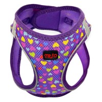 Luckypaw Air Mesh Harness Desenli Kedi-Köpek Göğüs Tasması Hearts (3-5kg) [XSmall]