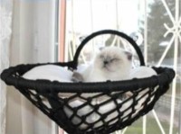 Cama Takılabilen Gezegen Kedi Yatağı