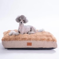 Pawstar Bubble Mat Köpek Yatağı Camel 50x75cm