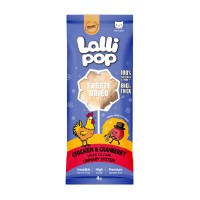 Gnawlers Tavuklu Yaban Mersinli Lolipop Kedi Ödülü 4gr