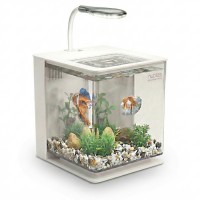Nubios Nano Easy Tank Ledli Beyaz 4.5 lt