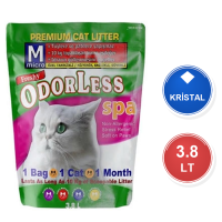 Freshy 1 Aylık Kokusuz 3,8 LT Silika Kristal Kedi Kumu
