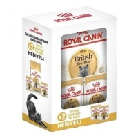 Royal Canin British Shorthair Yetişkin Kedi Maması 2KG + 2 Adet British Shorthair Pouch