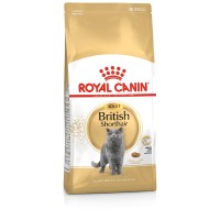 Royal Canin British Shorthair Adult 2 kg Yetişkin Kedi Maması