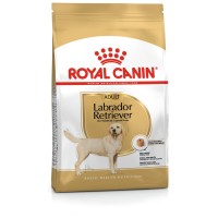 Royal Canin Labrador Retriever Adult 12 Kg Yetişkin Köpek Maması