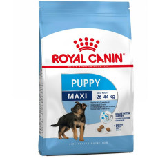 Royal Canin Maxi Puppy Büyük Irk Yavru Köpek Maması 15Kg