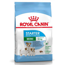 Royal Canin Mini Starter Küçük Irk Yavru Köpek Maması 3Kg