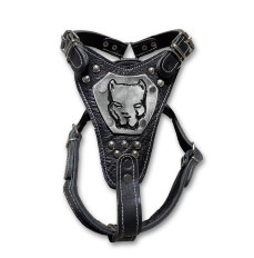 Teng Pitbull Armalı Gladyatör Göğüs Tasması XL Siyah