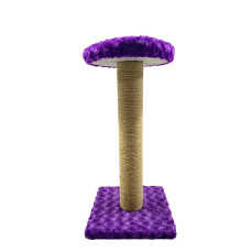 Teng Yuvarlak Oturaklı Kedi Tırmalama Tahtası 70 cm