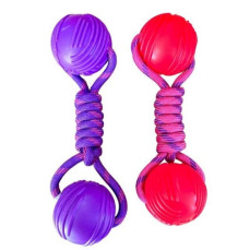 Pet Vogue İki Toplu Halatlı Çekiştirme Köpek Oyuncağı (Karışık Renklerde)