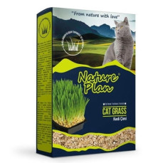NaturePlan Kedi Çimi 500ml